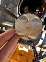 IMG_1148.jpeg