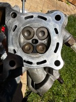 IMG_1150.jpeg