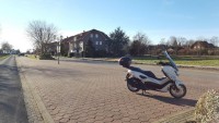 Dümm 1.jpg
